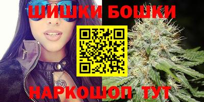 гашик Можга