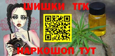 гашик Можга
